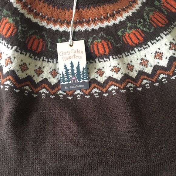 the cozy pumpkin sweater